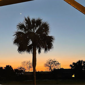 Meet your Posher, Ellana